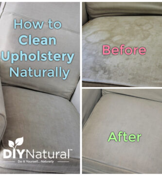 DIY How To Clean Upholstery