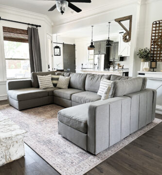 LoveSac Sactional Review