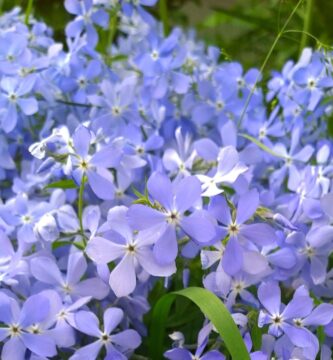 mvvrqszoFNivB9qWhScSg5 1200 80