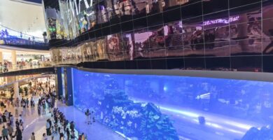 10 Largest Malls in the World 117 Dubai Mall 1 1024x696