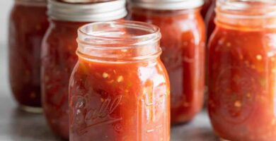 The Greatest Selfmade Salsa for Canning 5 best homemade salsa for canning square2
