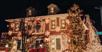 dyker heights lights banner