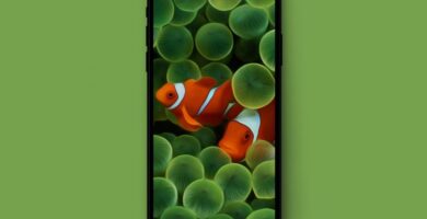 iOS original wallpapers splash iOS 1 crop 730x480