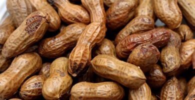 Instantaneous Pot Boiled Peanuts 97 instant pot recipe boiled peanuts scaled
