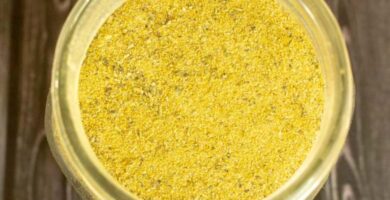 Homemade Chicken Bouillon Powder ~ Vegan Chicken Broth Sub 4 vegan chicken bouillon powder recipe