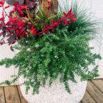 8h5tGpSh6ZzvJrWoPbWe3j 2000 80