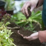 oXkad3qesP5NAJYFfYJFm8 2000 80