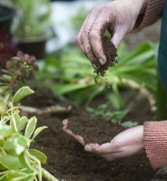 oXkad3qesP5NAJYFfYJFm8 2000 80