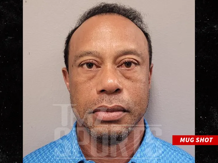 tiger wood mug 2
