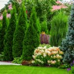 Mrc8ah5rNaQ32WcSSVUgx7 2000 80