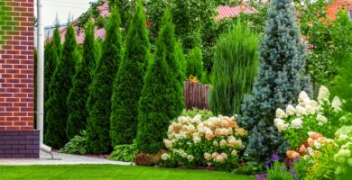 Mrc8ah5rNaQ32WcSSVUgx7 2000 80