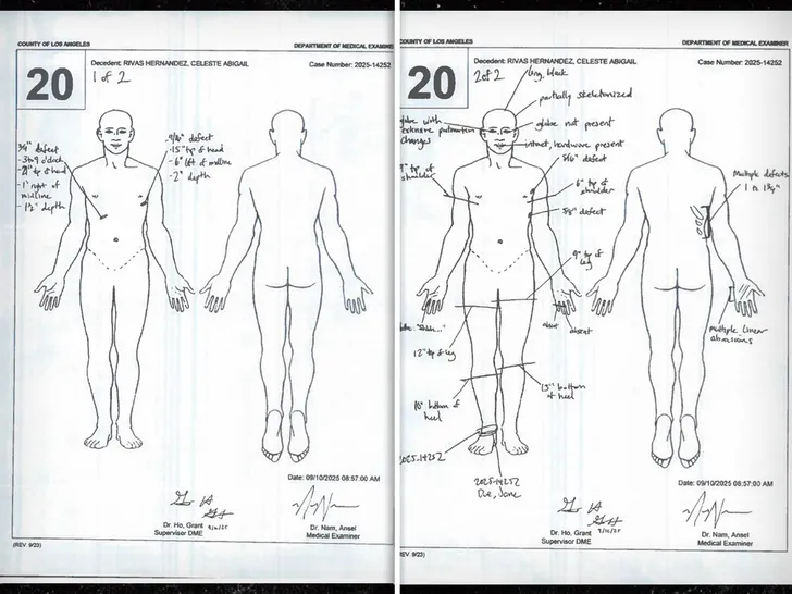 celeste-rivas-diagram-3