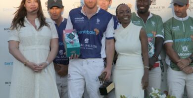 Sentebale claims to use 'external funding' to sue Prince Harry and Mark Dyer