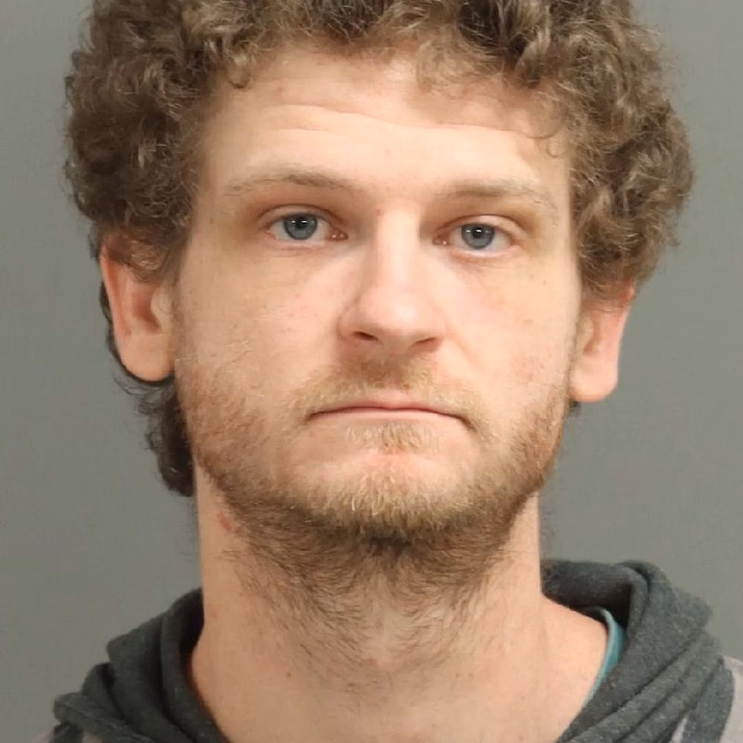 Hunger Games' Ethan Jamieson Arrested for Assault and Intent to Kill