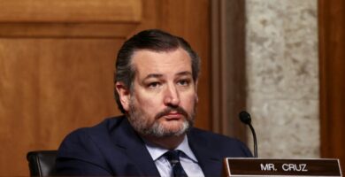 “TMZ's new Washington DC office is already causing chaos”