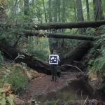 'Humboldt USA' Doc Film Interview on Nature: Visions of Reality 2026