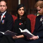 Prince William would remove Sussex titles 'in a heartbeat if given half the chance'