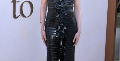 Links “Sarah Pidgeon wore a Givenchy dress to a Disney event”