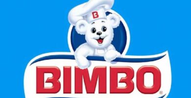 Bimbo revolutionizes the fitness sector with its protein bar