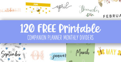 Printable Companion Planner Monthly Dividers Feature Image