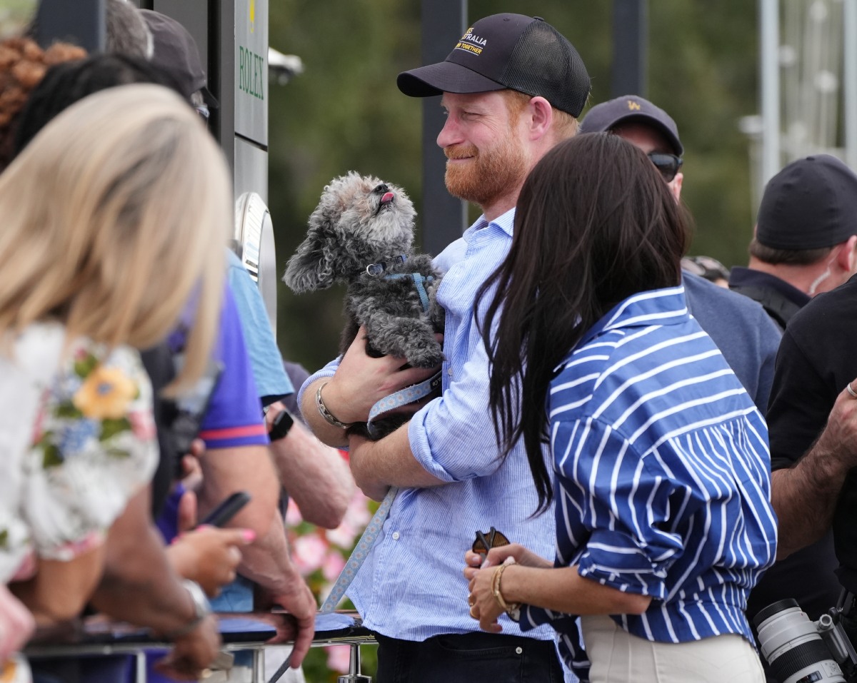 coverimages55623329 1