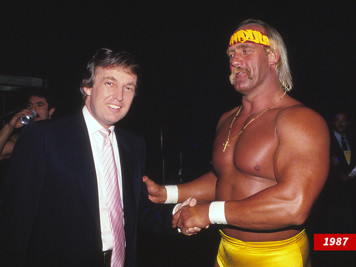 Donald Trump Hulk Hogan under Getty