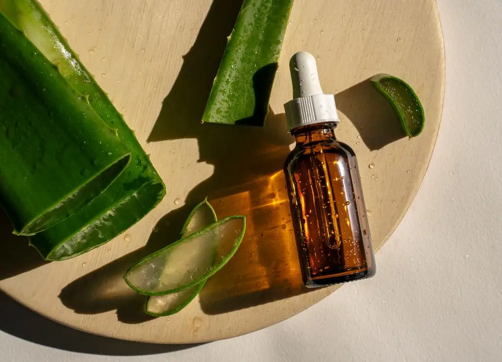 Slices of aloe vera plant and bottle of serum in sunlight