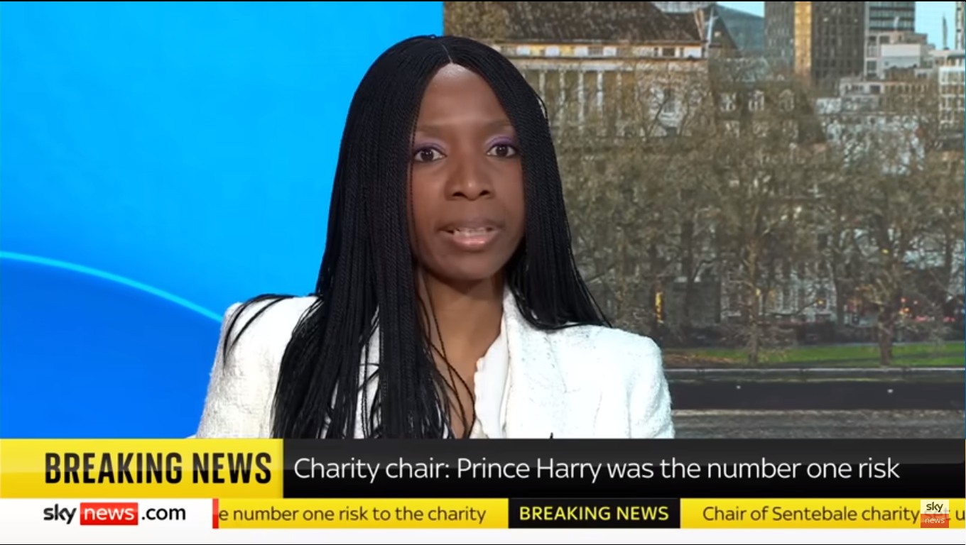 Sentebale claims to make use of 'exterior funding' to sue Prince Harry and Mark Dyer 2 sophie chandauka sky news 3 1
