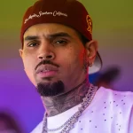 Chris Brown's ex-housekeeper fights to show horrific dog attack photos in court
