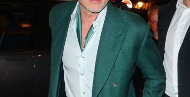 Brad Pitt 'supply' claims Brad is 'a father who has been estranged from his household' 9 Brad Pitt 'source' claims Brad is 'a father who has been estranged from his family'