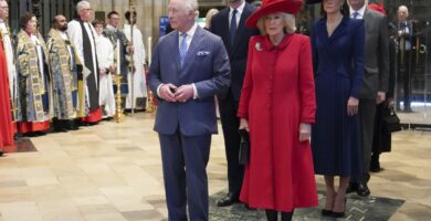 Prince William is not 'radical' like King Charles, he is a progressive