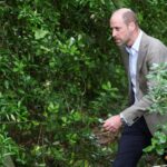 Prince William's hammer and nail fail went viral after his own office posted it!!