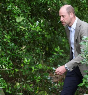 Prince William's hammer and nail fail went viral after his personal workplace posted it!! 3 Prince William's hammer and nail fail went viral after his own office posted it!!