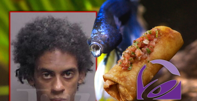 Police called on Florida man who allegedly took out his 'Chimichanga' at Taco Bell