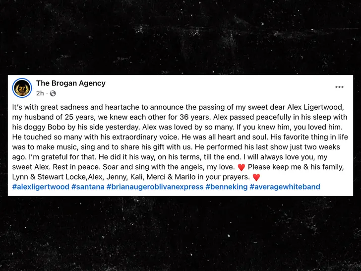 sub-Alex-Ligertwood-brogan-agency-fb-1