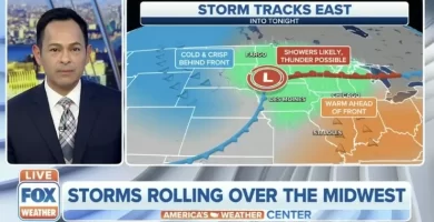 Fox Weather