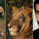 The Lion's Throne Vertical Documentary Series Takes Place at FlareFlow