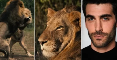 The Lion's Throne Vertical Documentary Series Takes Place at FlareFlow