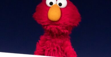 Links “Elmo was dragged for not explicitly supporting the Knicks”