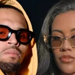 Chris Brown Fires Back at Baby Mama Diamond's Decision to Get Primary Custody