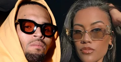 Chris Brown Fires Back at Baby Mama Diamond's Decision to Get Primary Custody