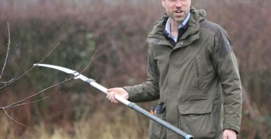 Peter Phillips is 'very close' to Prince William, Peter is 'loyal and protective'