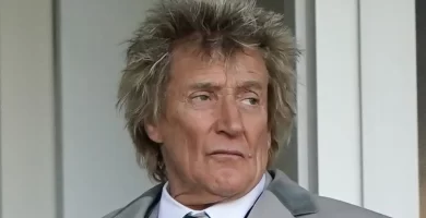 Rod Stewart sparks debate after attending World Cup match hours after canceling concert