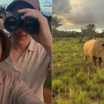 from rhino watching to avoiding malaria