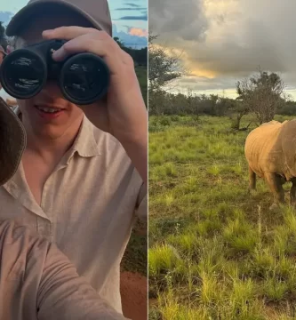 from rhino watching to avoiding malaria