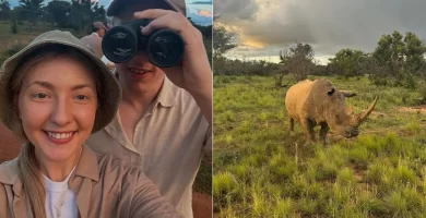 from rhino watching to avoiding malaria 41 from rhino watching to avoiding malaria