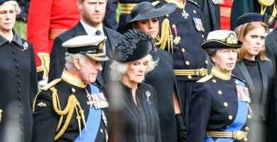 Princess Anne was 'disgusted' by Duchess Meghan's inability to 'follow simple rules'