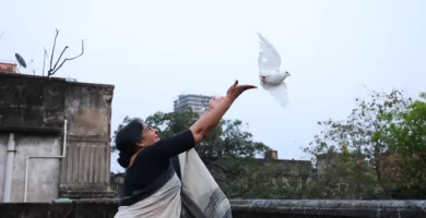 Acclaimed Bengali drama 'Pinjar' lands international deal