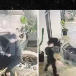 Tom Sandoval appears to push ex-Victoria's father Lee Robinson into lit fire pit during fight