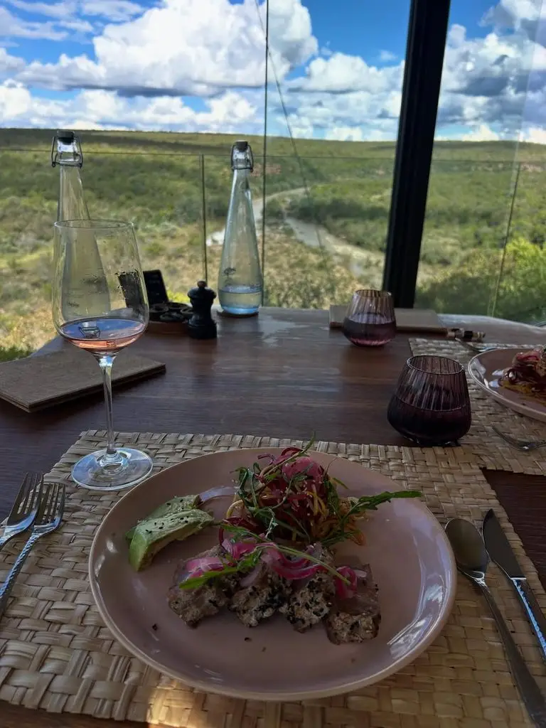 from rhino watching to avoiding malaria 5 A photo of a plate of sushi